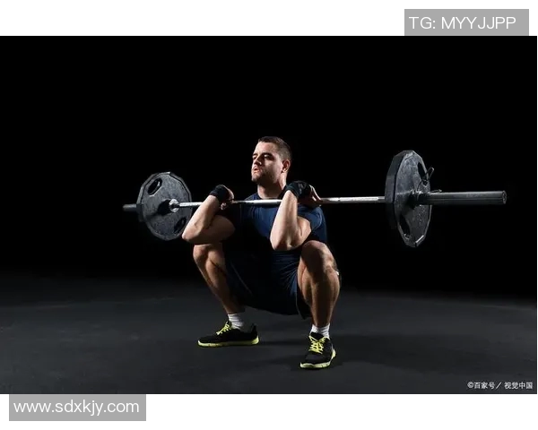 全面提升力量与耐力的哑铃健身视频教程免费下载与使用指南