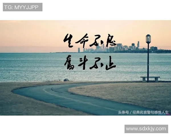 前叉断裂后的篮球明星重返赛场的励志故事与人生转折