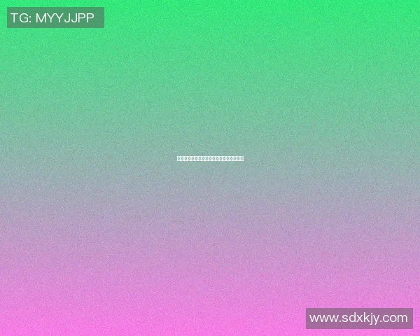 沈阳篮球明星的辉煌历程与成就背后的故事